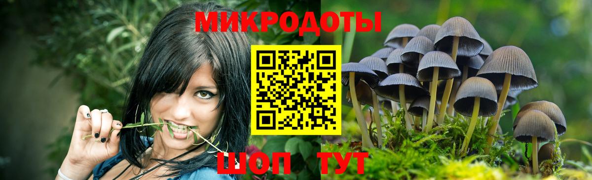 Галлюциногенные грибы мицелий  Псилоцибиновые грибы GOLDEN TEACHER  Приморско-Ахтарск  Вход с VPN 